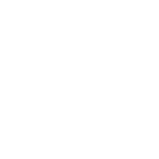 lock icon